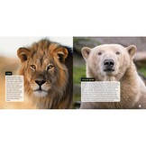 Animal Eyes - How Creatures See and How Their Eyes Have Adapted to Their World