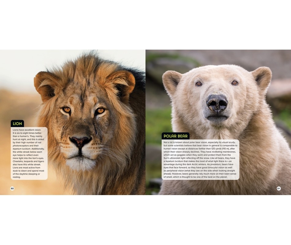 Animal Eyes - How Creatures See and How Their Eyes Have Adapted to Their World