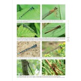 Naar een natuurrijke tuin - Tuinieren met de natuur