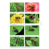 Naar een natuurrijke tuin - Tuinieren met de natuur