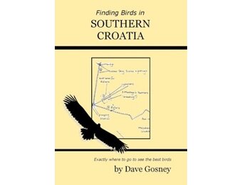 Finding Birds in Southern Croatia
