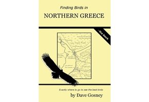 Finding Birds in Northern Greece