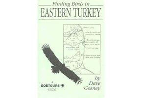 Finding Birds in Eastern Turkey