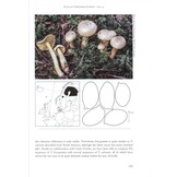 Fungi of Northern Europe, Volume 4: The Genus Tricholoma