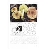 Fungi of Northern Europe, Volume 4: The Genus Tricholoma