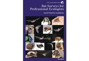 Bat Surveys for Professional Ecologists