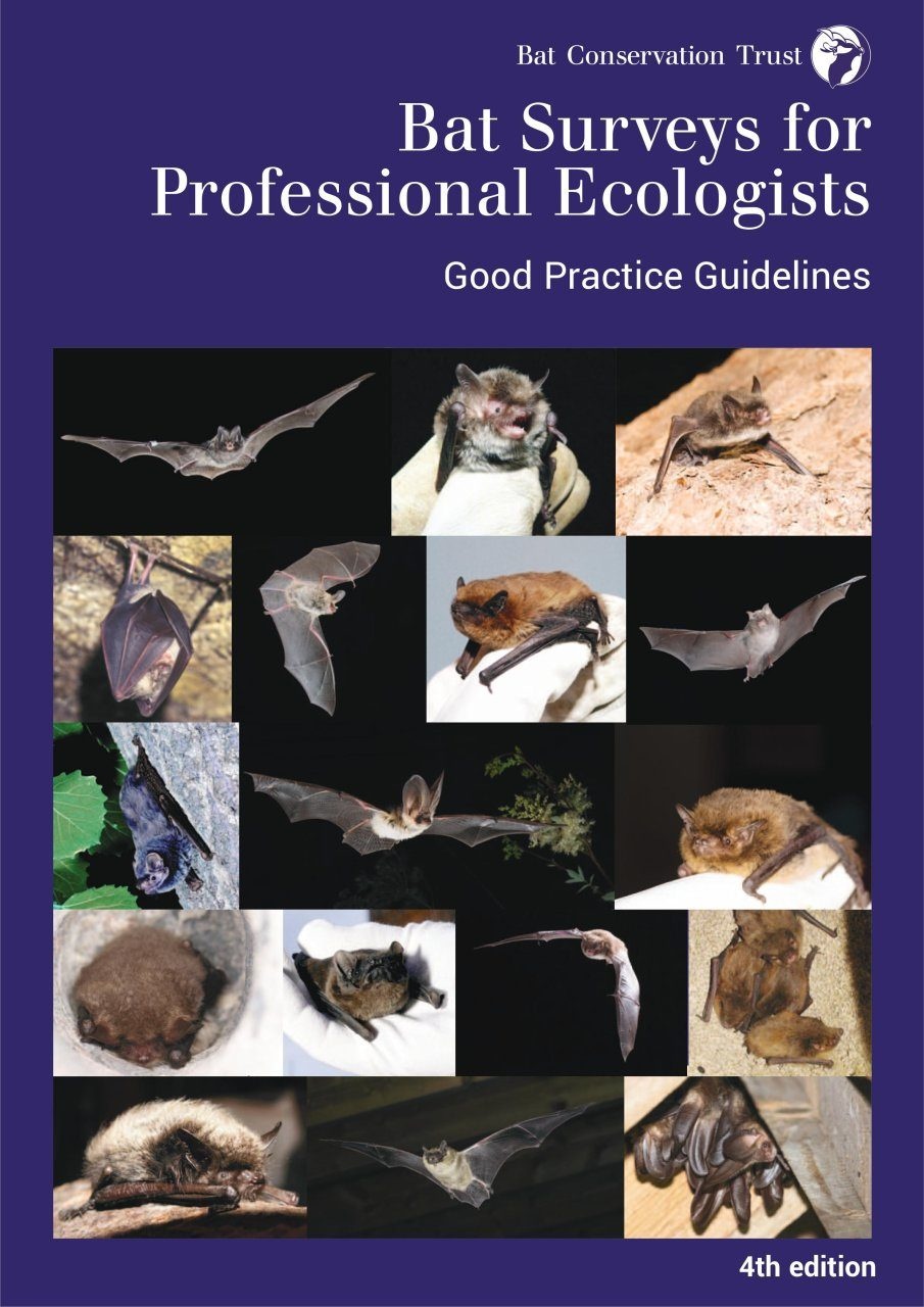 Bat Surveys for Professional Ecologists - Good Practice Guidelines