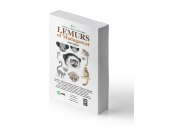 Lemurs of Madagascar