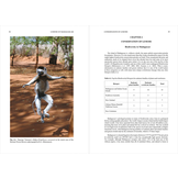 Lemurs of Madagascar - Fifth Edition