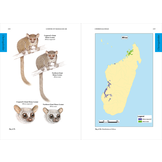 Lemurs of Madagascar - Fifth Edition