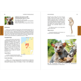 Lemurs of Madagascar - Fifth Edition