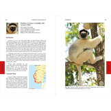 Lemurs of Madagascar - Fifth Edition