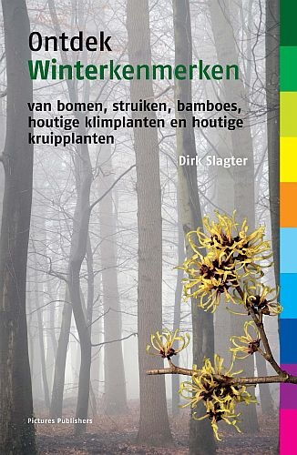 Ontdek Winterkenmerken van bomen, struiken, bamboes, houtige klimplanten en houtige kruipplanten