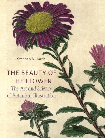 The Beauty of the Flower - The Art and Science of Botanical Illustration