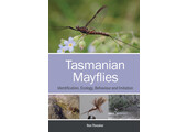 Tasmanian Mayflies