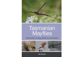 Tasmanian Mayflies