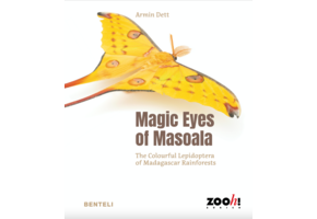 Magic Eyes of Masoala