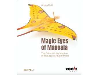 Magic Eyes of Masoala