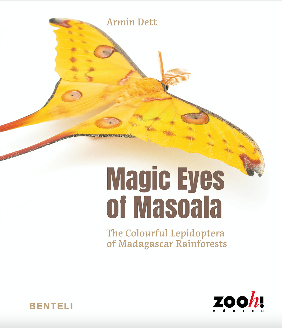 Magic Eyes of Masoala - The Colourful Lepidoptera of Madagascar Rainforests
