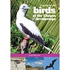 A Guide to Birds of the Chagos Archipelago