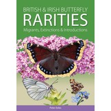 British and Irish Butterfly Rarities - Migrants, Extinctions and Introductions