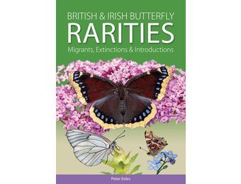 British and Irish Butterfly Rarities
