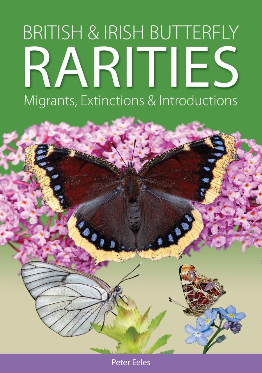 British and Irish Butterfly Rarities - Migrants, Extinctions and Introductions