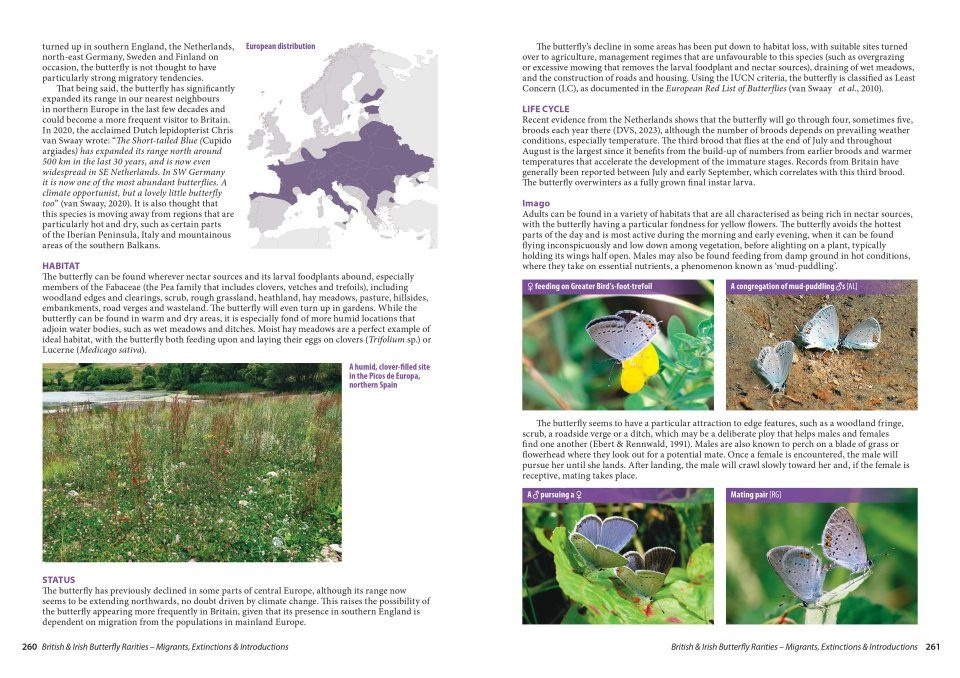 British and Irish Butterfly Rarities - Migrants, Extinctions and Introductions
