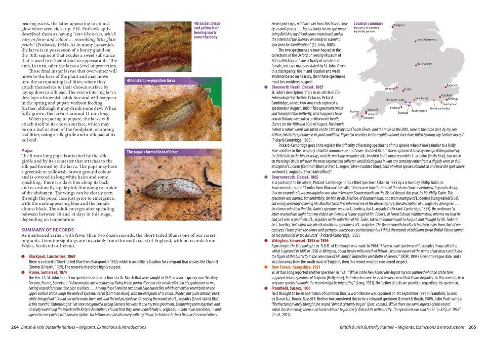 British and Irish Butterfly Rarities - Migrants, Extinctions and Introductions