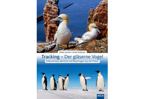 Tracking - Der gläserne Vogel