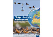 Die Ostatlantische Vogelzugroute