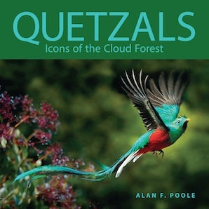Quetzals - Icons of the Cloud Forest