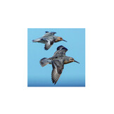 De kanoet - De veranderende wereld door de ogen van een trekvogel