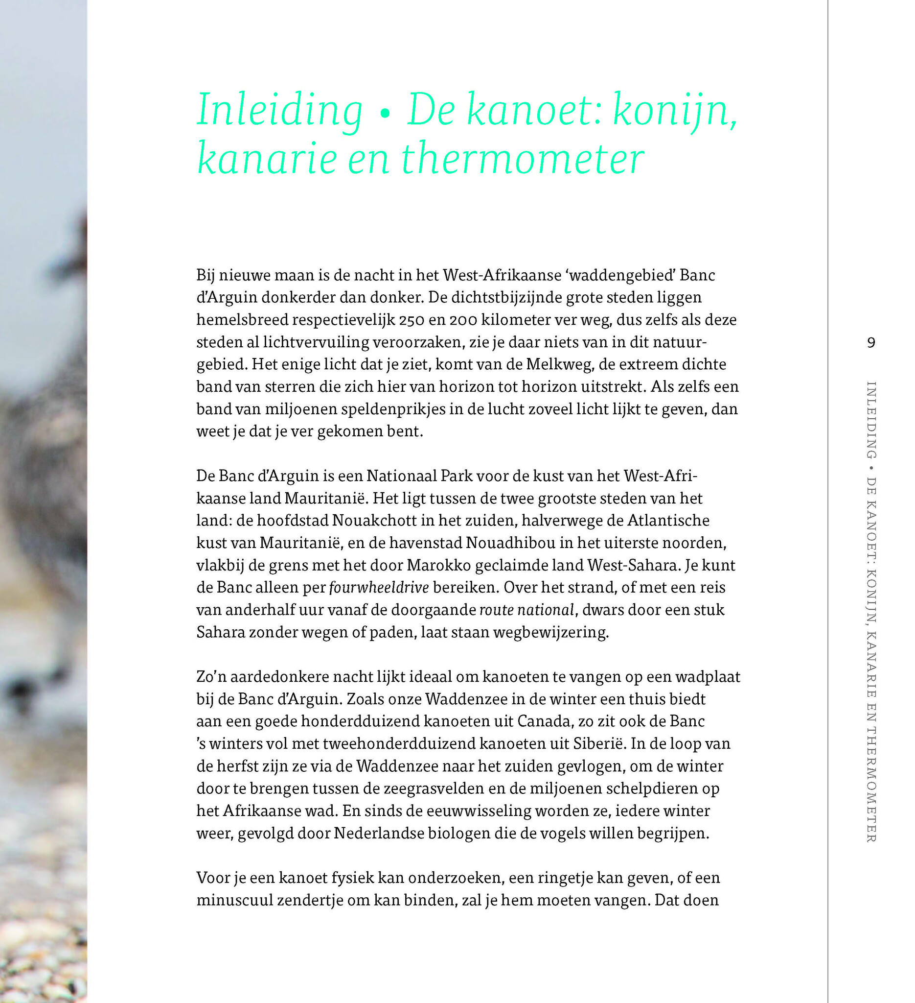 De kanoet - De veranderende wereld door de ogen van een trekvogel