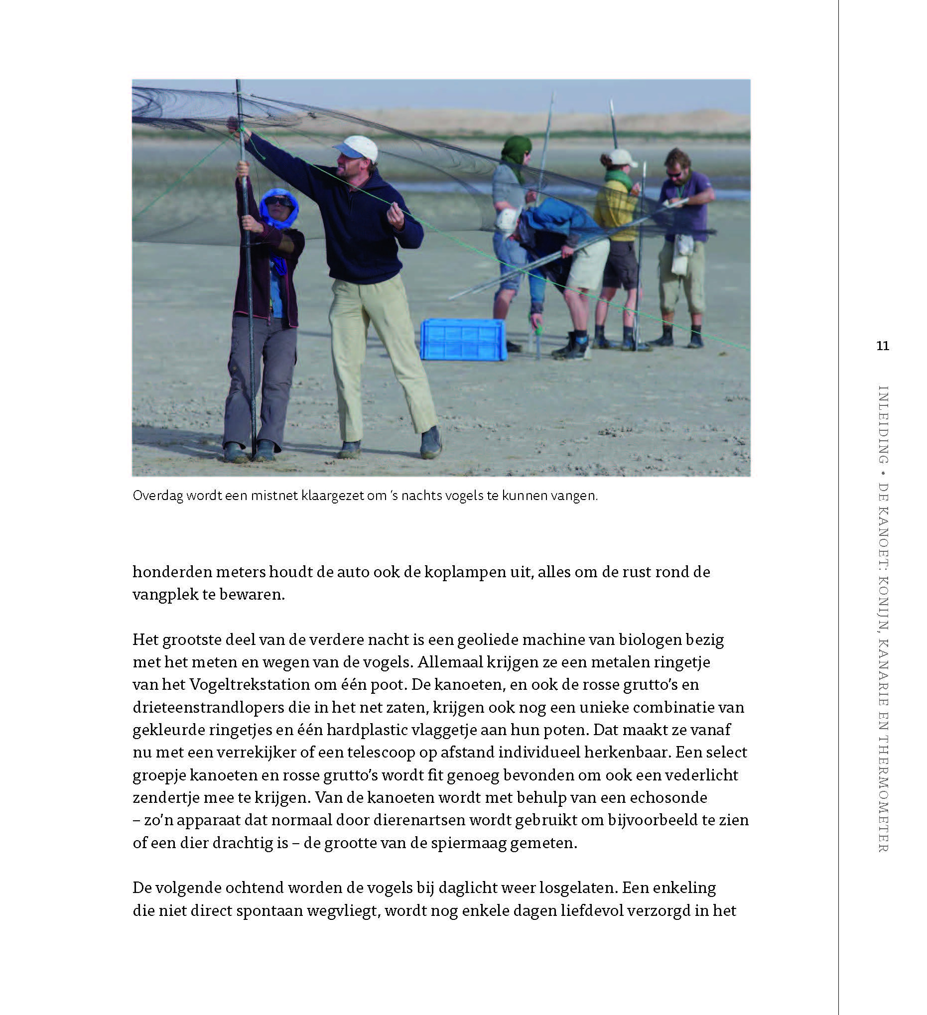 De kanoet - De veranderende wereld door de ogen van een trekvogel