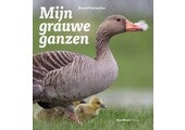 Mijn grauwe ganzen