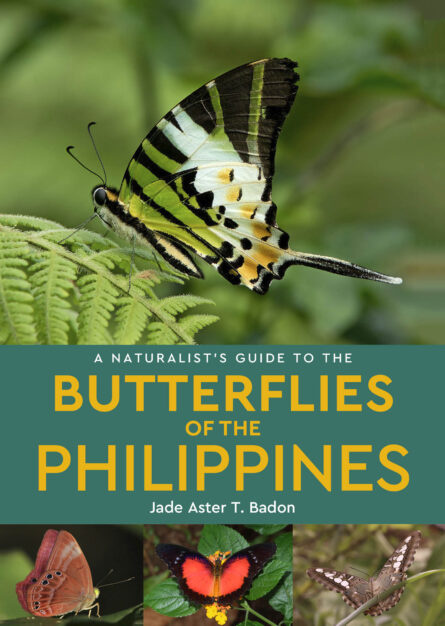 A Naturalist’s Guide to the Butterflies of the Philippines