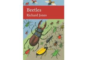 Beetles