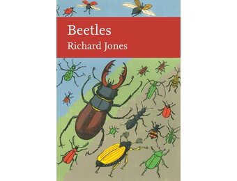 Beetles