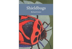 Shieldbugs