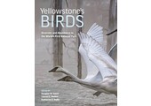 Yellowstone’s Birds