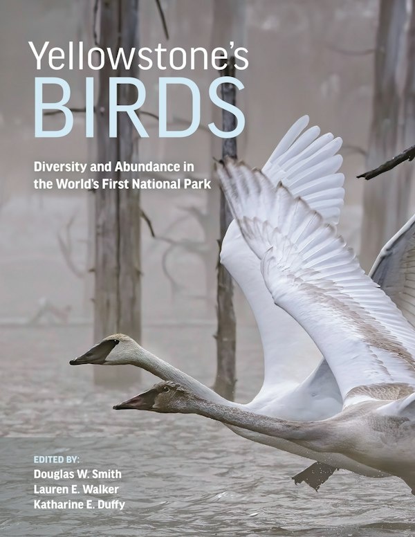 Yellowstone’s Birds - Diversity and Abundance in the World’s First National Park