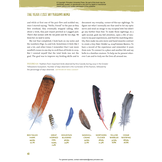 Yellowstone’s Birds - Diversity and Abundance in the World’s First National Park