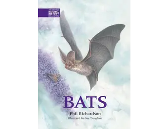 Bats