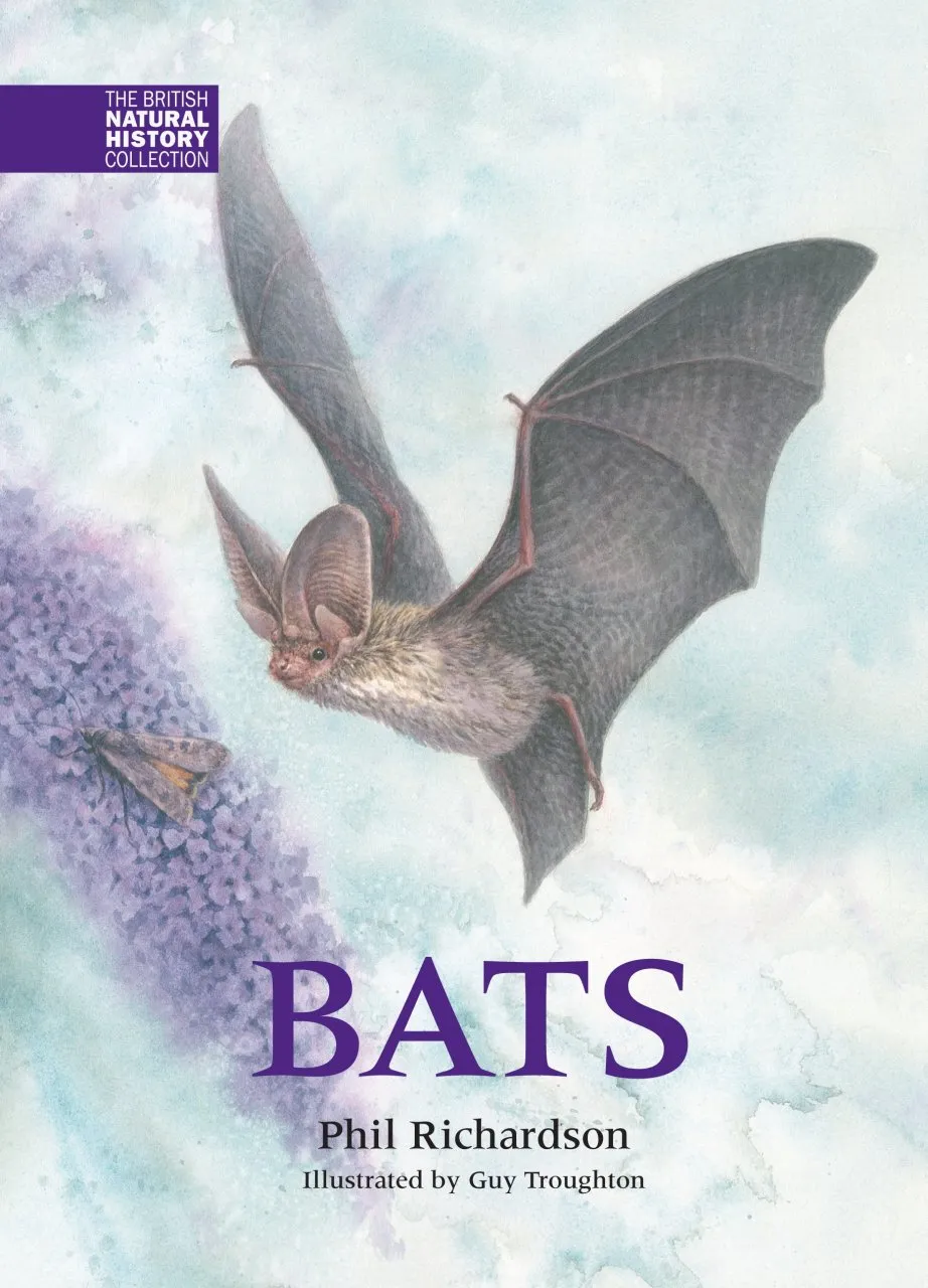 Bats - The British Natural History Collection