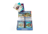 Kikkerland Fish Playing Cards 3D
