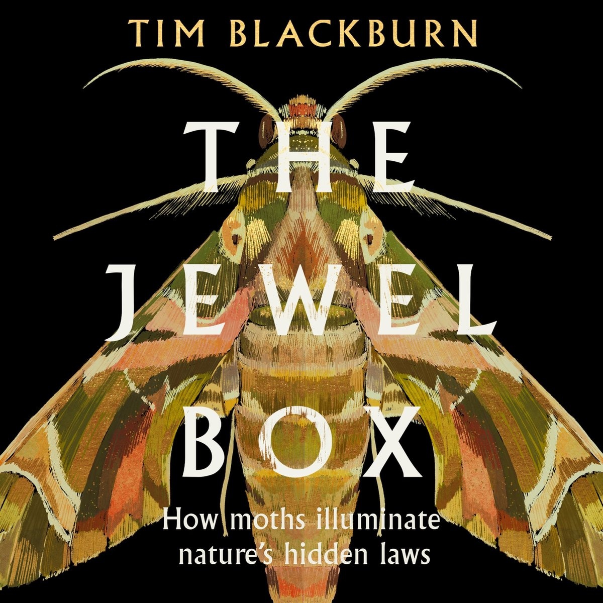The Jewel Box - How Moths Illuminate Nature's Hidden Rules
