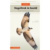 Veldgids Vogeltrek in beeld - Trekvogels herkennen aan hun vliegbeeld