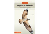 Veldgids Vogeltrek in beeld