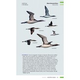 Veldgids Vogeltrek in beeld - Trekvogels herkennen aan hun vliegbeeld